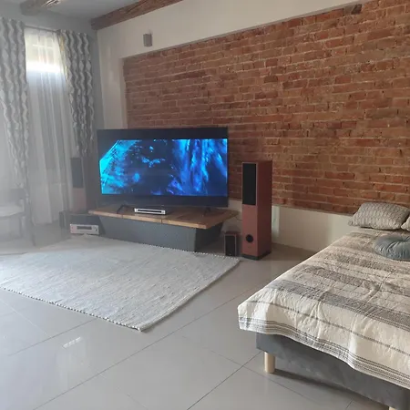 Deluxe W Centrum Brzeska Nr 2 Διαμέρισμα *