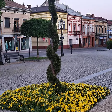 Deluxe W Centrum Brzeska Nr 2 Lejlighed Brzesko