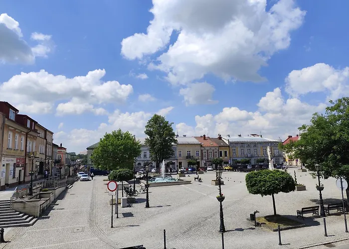 Deluxe W Centrum Brzeska Nr 2 Apartament