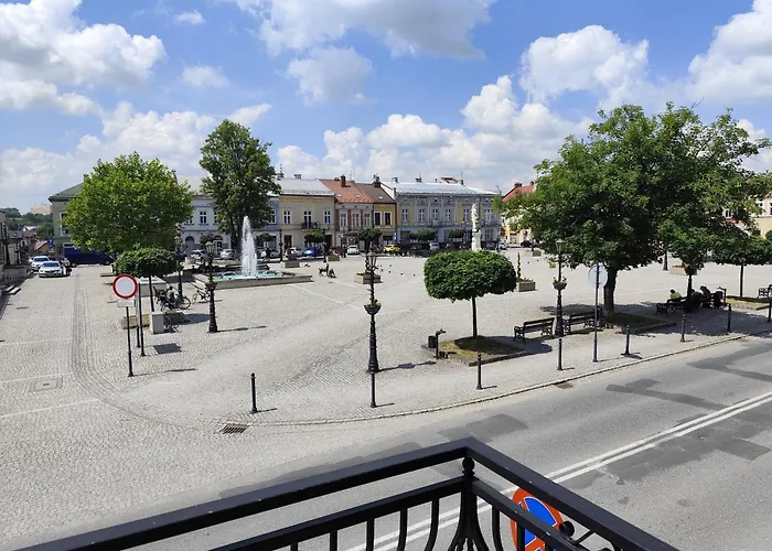 Apartament Deluxe W Centrum Brzeska Nr 2 *