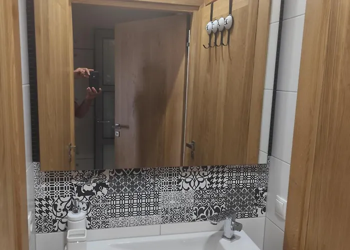 Deluxe W Centrum Brzeska Nr 2 ברז'סקו