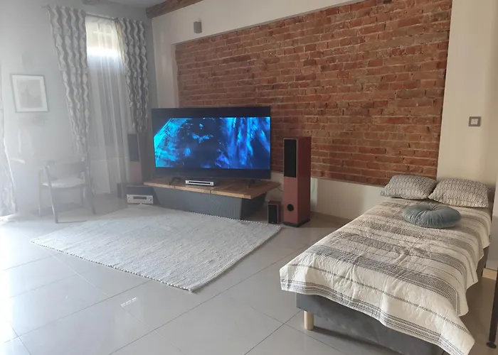 Deluxe W Centrum Brzeska Nr 2 Apartament *